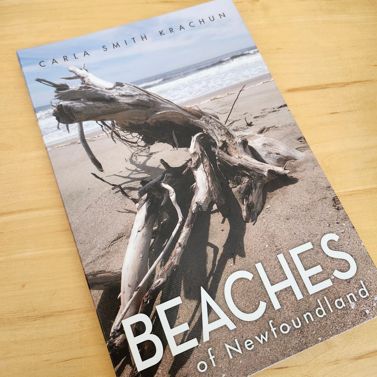 Beaches of Newfoundland book cover