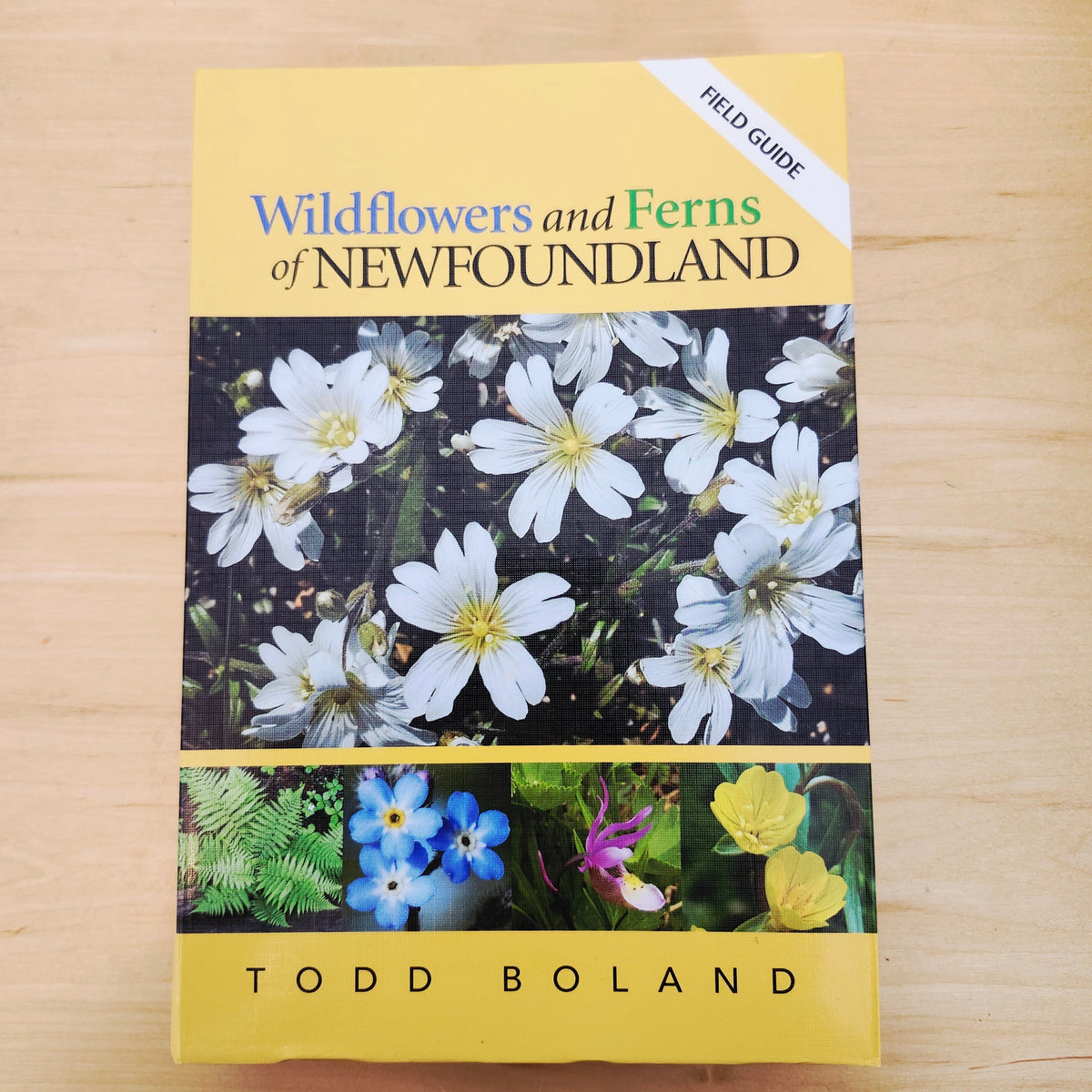Wildflowers and Ferns of Newfoundland