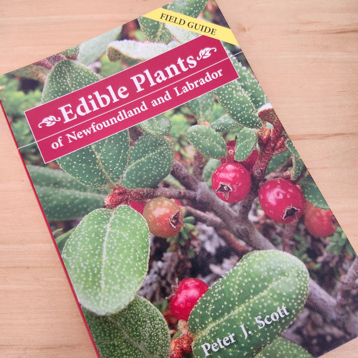 Edible Plants of Newfoundland and Labrador book cover