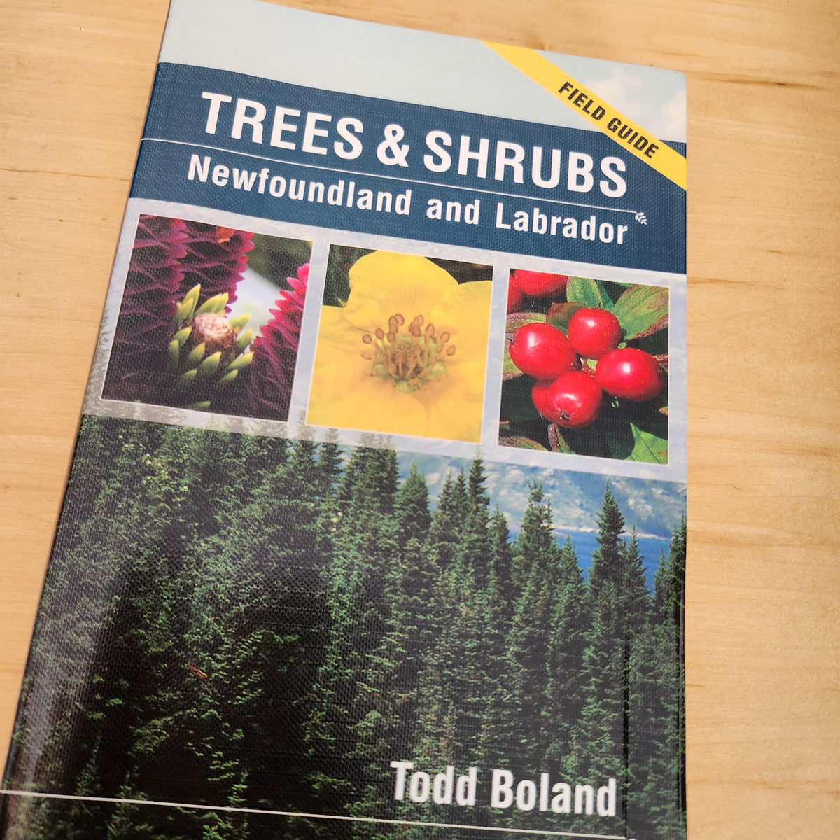 Trees and Shrubs of Newfoundland and Labrador