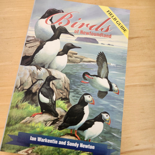 Birds of Newfoundland book cover